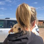 Profile Picture of Rachel Mazza (@rachrachmaz) on Instagram