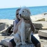 Profile Picture of Kerri (@goldendoodlebe) on Instagram