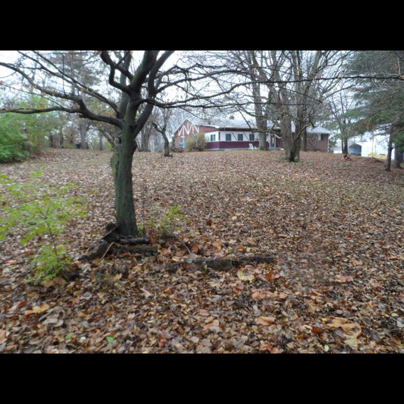 Profile Picture of Noah Ehrie (@bryce7) on Poshmark