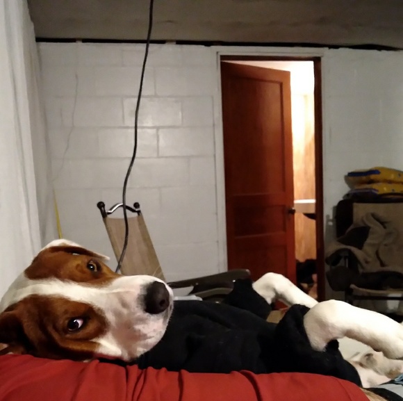 Profile Picture of Sarah Keckley (@sarahkeckley6) on Poshmark