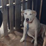 Profile Picture of Robertrevels (@robertrevels51) on Instagram