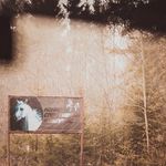 Profile Picture of cecelia flores (@cecelia6351rz) on Instagram