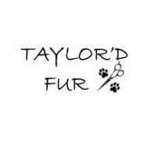 Profile Picture of Taylor’d Fur (@taylordfur) on Tiktok