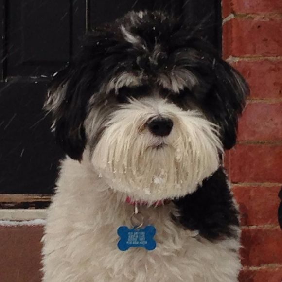 Profile Picture of Cassiopeia In the sky (@fattyfat555) on Poshmark