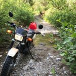 William De Keiser - Instagram Profile Picture of William De Keiser (@nicky_flanders_and_queen) on Instagram