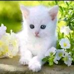 Profile Picture of Mārion Hämidæ (@marion.hamida) on Facebook