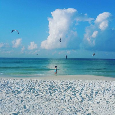 Profile Picture of Yolanda Campbell (@landagail) on Twitter