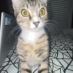 Profile Picture of Joseph Gauldin (@Joseph-Gauldin) on Facebook