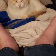 Profile Picture of James Weiner (@JamesWeiner9) on Twitter