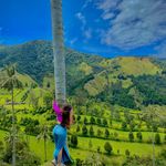 Profile Picture of Daniela Trujillo (@danielatrujillo_) on Instagram