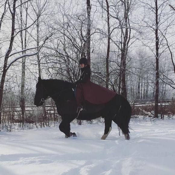 Profile Picture of Audrey Mcconnell (@audrey_gillette) on Poshmark