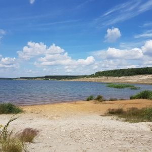 Profile Picture of Josephine Weber (@meerie56) on Twitter