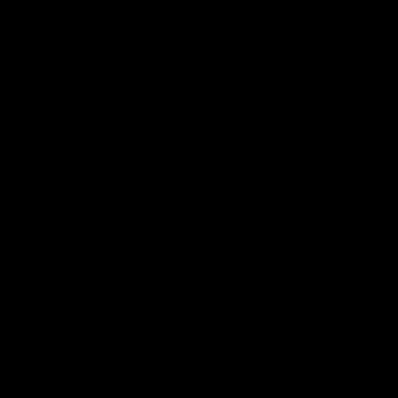 Profile Picture of Diane Sterwald (@distwld) on Poshmark