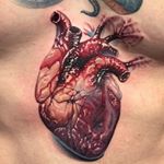 Profile Picture of Kevin Groenow (@kevin_groenow) on Instagram