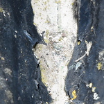 Profile Picture of Thomas Burns (@thomasburnsepic) on Flickr