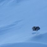 Profile Picture of Stephen Dahlk (@stephen.dahlk) on Instagram