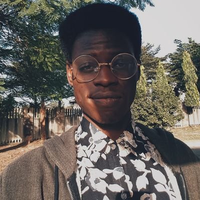 Profile Picture of Zi (@Ziziian) on Twitter