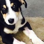 Profile Picture of Ken Whitney (@kenny.whitney62) on Instagram