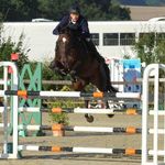 Profile Picture of Thomas Düing GermanEquestrian (@thomas_dueing) on Instagram
