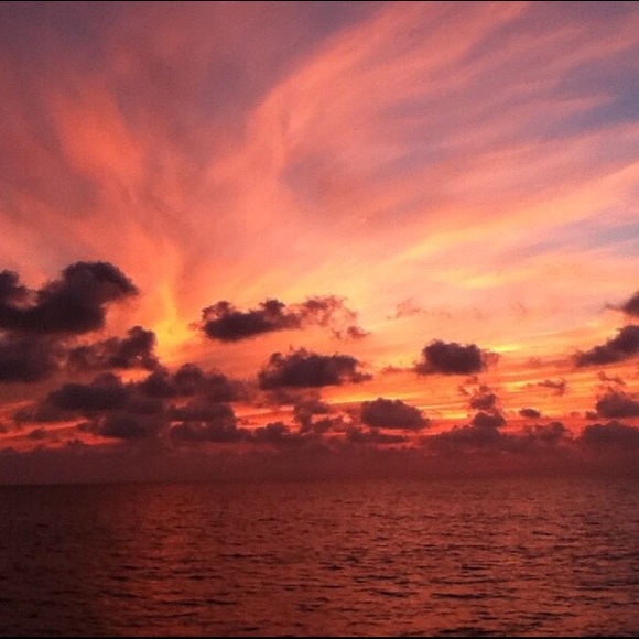 Profile Picture of Blonde Blonde (@jmd420755) on Poshmark