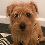 Profile Picture of John Melick (@melick_john) on Instagram