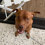 Profile Picture of Jimmy Costello (@jamescostello12ify) on Youtube