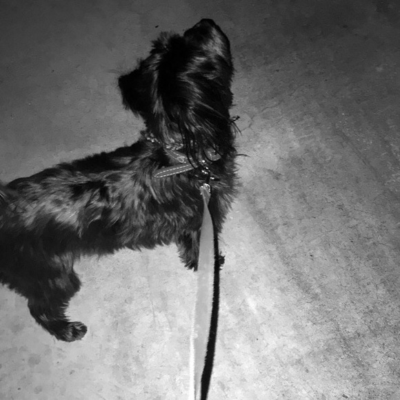 Profile Picture of Leanna Brezak (@leannabrezak) on Poshmark