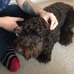 Profile Picture of Aaron Mcnestry (@shockwave__aa) on Instagram