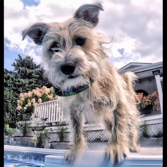 Profile Picture of Jocelyn Richards (@jjrichards99) on Poshmark