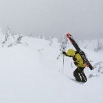 Profile Picture of Bryan (@bryan.worsley1) on Instagram