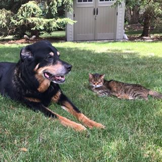 Profile Picture of Joe Elger (@joe.elger.5) on Facebook