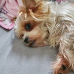 Profile Picture of Brandi Eason (@easonbrandi) on Instagram