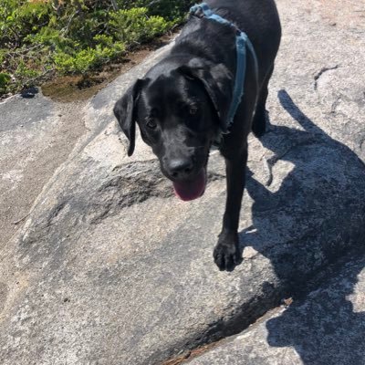 Profile Picture of Brad Tully (@BradTully2) on Twitter