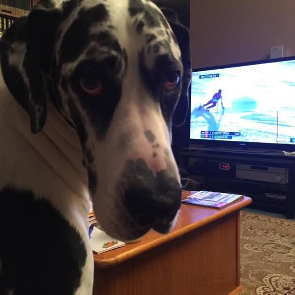 Profile Picture of Cheryl Deuchars lodzinski (@cheryl7208) on Poshmark