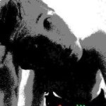 Profile Picture of George Grayson (@georgegrayson313) on Instagram