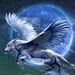 Profile Picture of Nathan-Andrew Minto _ Student - ZebulonMS (@minto_studentzebulonms) on Pinterest