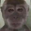 Profile Picture of Kimberly.Rivers (@zgislsobs6s) on Tiktok