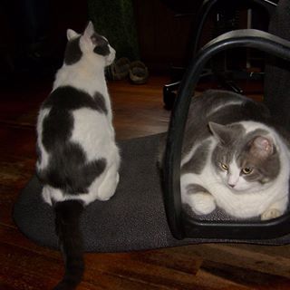 Profile Picture of Ken Chase (@ken.chase.58) on Facebook