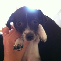 Profile Picture of Julia Corrigan (@julia-corrigan) on Quora