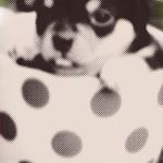 Leila perisinotto - Instagram Profile Picture of Leila perisinotto (@168leila_) on Instagram