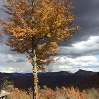 Profile Picture of Curtis Gunn (@curtis-gunn-1) on Quora