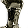 Profile Picture of Joel Sanderson (@JungleJoel) on Flickr