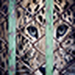 Profile Picture of Selfish Kevin William Ty (@super cold) on Flickr