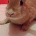 Profile Picture of Thomas Hopps (@thomas.hopps.96) on Facebook