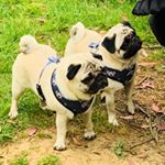 Profile Picture of Barry and Pru Turner (@bazrgram) on Instagram