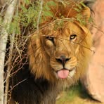 Profile Picture of Scott Schieman (@scott.schieman.1) on Facebook