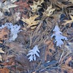 Profile Picture of todd taillefer (@tltaillefer) on Instagram