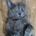 Profile Picture of 수연 (이십사살) (@tjtntjtn) on Instagram