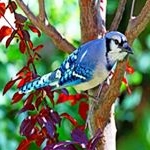 Profile Picture of Michael Johnson (@yanishinao1980karen) on Instagram