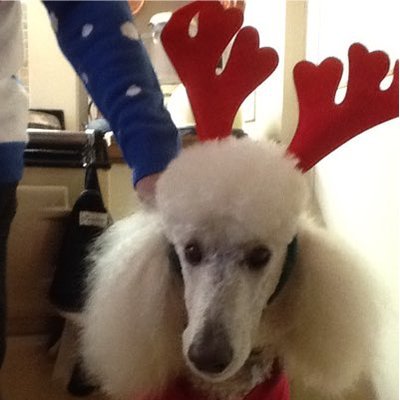 Profile Picture of Mike Pettitt (@mikepettitt4) on Twitter